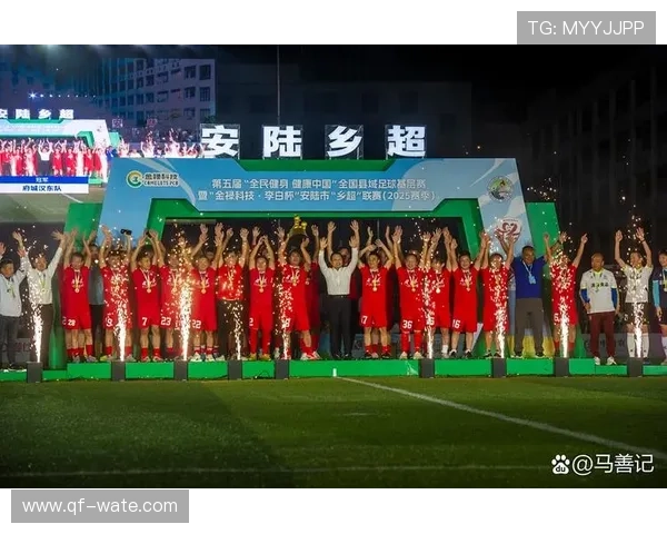 国家队在国际赛事中逆转夺冠鼓舞全民体育热情持续高涨推动行业发展